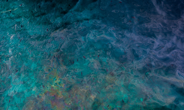 No Microbeads in SeabuckWonders Products!