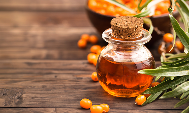 Sea buckthorn Oil No No's
