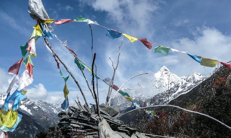 Frequently Asked Questions