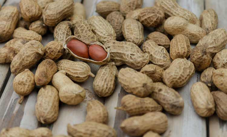 Food Allergy Awareness Week