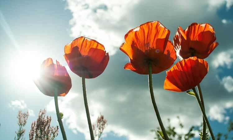 Spring Time Skin Care