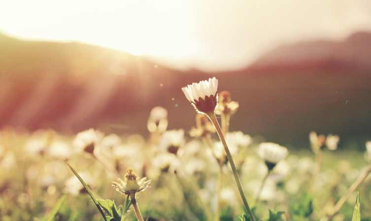 Staying Healthy During Springtime