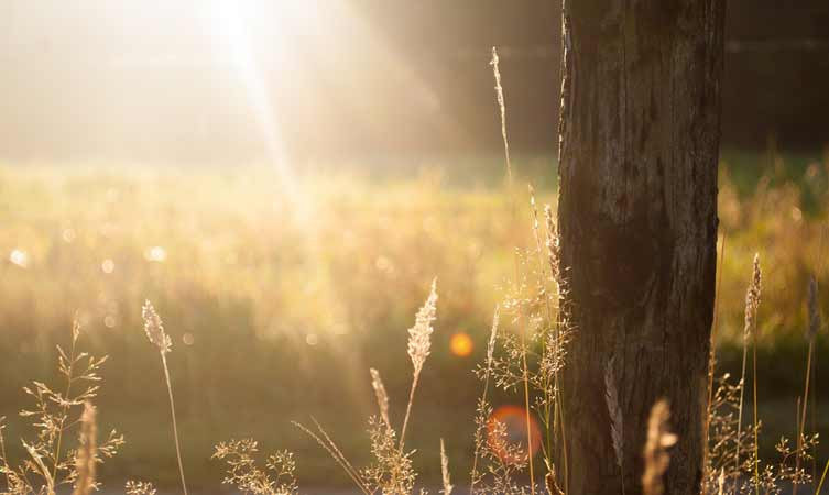 Summer Skin Care Tips