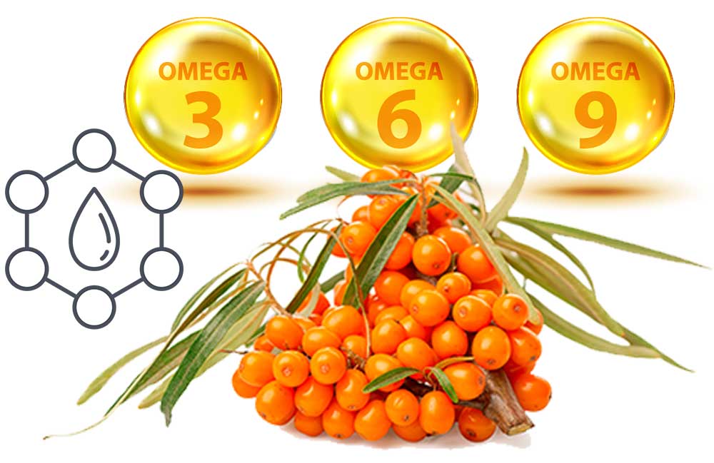 An Overview of Sea Buckthorn Oil and Dryness in the Body