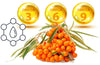 /blogs/health/an-overview-of-sea-buckthorn-oil-and-dryness-in-the-body