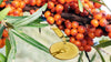 /blogs/health/healthy-omegas-ratio-in-seabuckthorn-oil