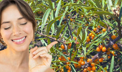 Healthy Aging with Organic Seabuckthorn Oil Starts at the Cellular Level