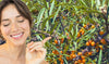 /blogs/health/healthy-aging-with-organic-seabuckthorn-oil-starts-at-the-cellular-level