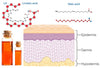 /blogs/health/why-are-linoleic-and-oleic-acid-important-and-how-to-use-them