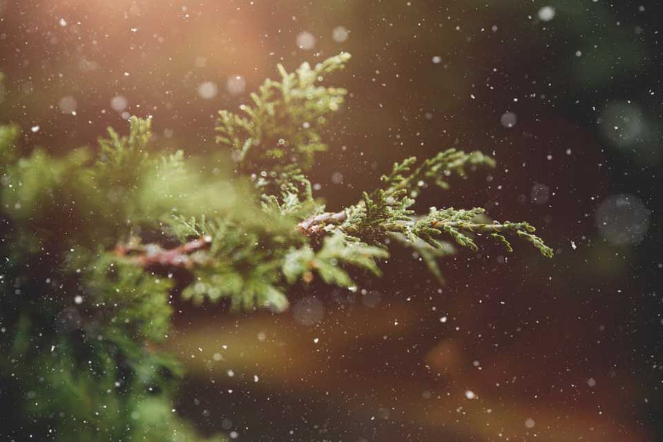 Staying Healthy During Winter