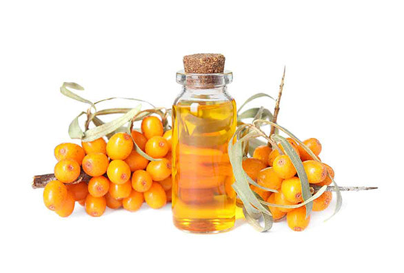 Science Backed Anti-Aging Benefits of Sea Buckthorn Oil 
