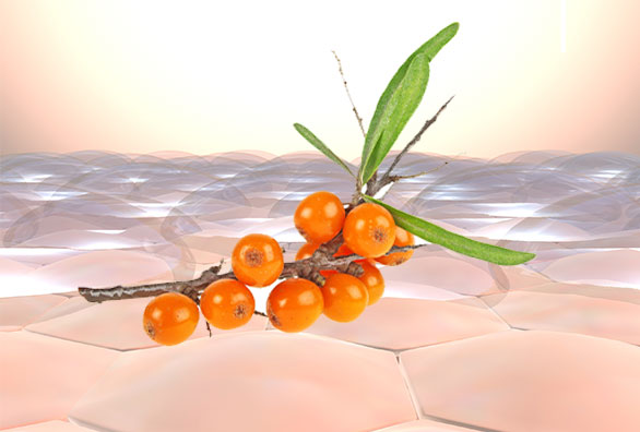 Why is Sea Buckthorn Good for Skin?