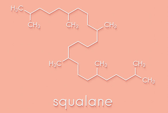 Squalane Ingredient Guide