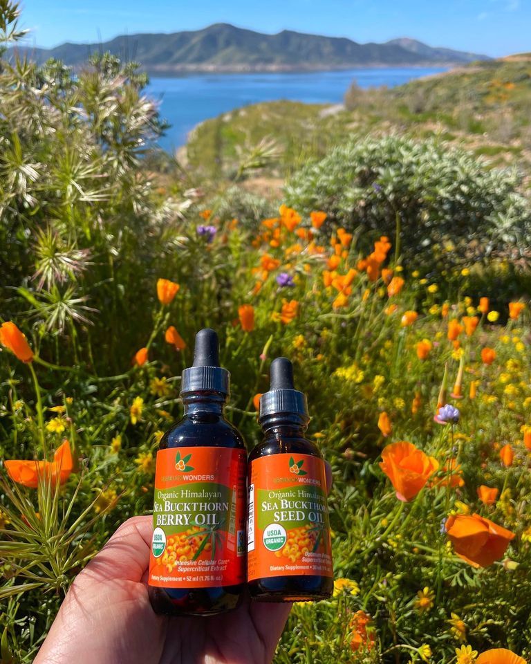 Organic Seabuckthorn Oil DIY Kit