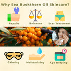 Body Lotion - SeabuckWonders sea buckthorn products